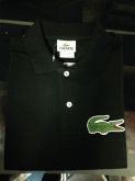 Lacoste Basico Jacare Grande 06